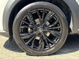 Nissan Juke bei Gebrauchtwagen.expert - Abbildung (14 / 15)