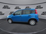 Fiat Panda bei Gebrauchtwagen.expert - Abbildung (6 / 15)