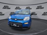 Fiat Panda bei Gebrauchtwagen.expert - Abbildung (4 / 15)