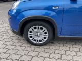 Fiat Panda bei Gebrauchtwagen.expert - Abbildung (11 / 15)