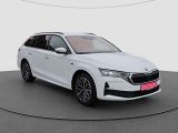 Skoda Octavia bei Gebrauchtwagen.expert - Abbildung (6 / 15) Skoda Octavia bei Gebrauchtwagen.expert - Abbildung (6 / 15)