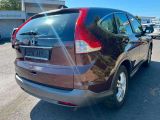 Honda CR-V bei Gebrauchtwagen.expert - Abbildung (5 / 15)