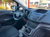 Ford C-MAX bei Gebrauchtwagen.expert - Abbildung (13 / 15)