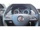 Skoda Octavia bei Gebrauchtwagen.expert - Abbildung (9 / 15)