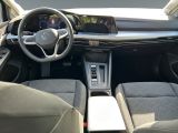 VW Golf VIII bei Gebrauchtwagen.expert - Abbildung (11 / 15)