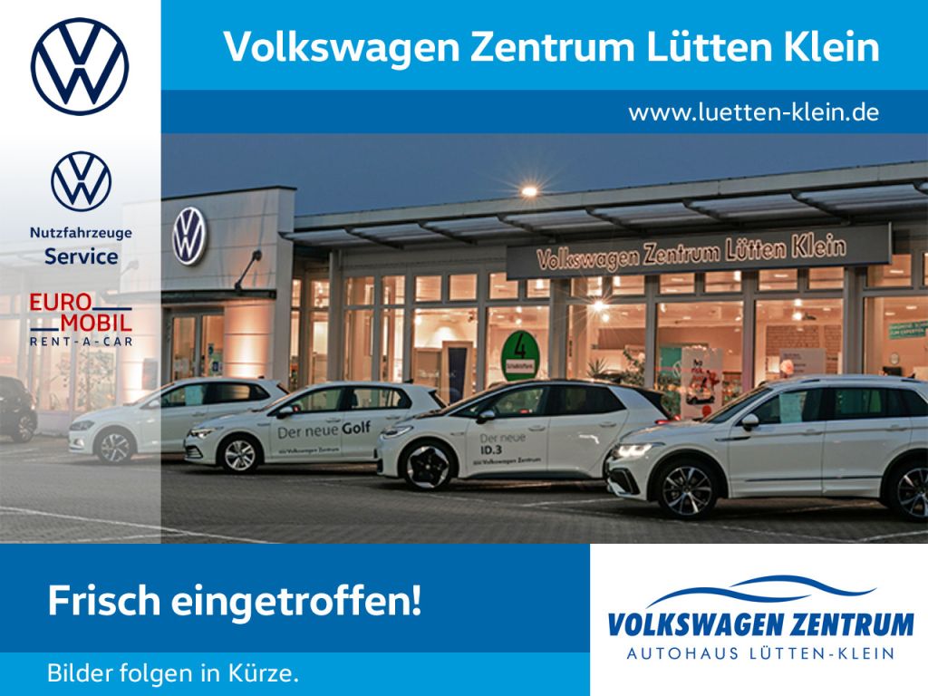 VW Golf VIII bei Gebrauchtwagen.expert - Hauptabbildung