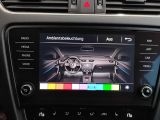 Skoda Octavia bei Gebrauchtwagen.expert - Abbildung (13 / 15)