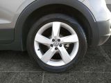 VW T-Cross bei Gebrauchtwagen.expert - Abbildung (14 / 15)