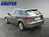 Audi A3 Sportback bei Gebrauchtwagen.expert - Abbildung (6 / 14)