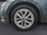 Skoda Octavia bei Gebrauchtwagen.expert - Abbildung (14 / 15)