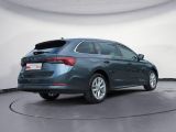 Skoda Octavia bei Gebrauchtwagen.expert - Abbildung (5 / 15)