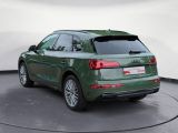 Audi Q5 bei Gebrauchtwagen.expert - Abbildung (3 / 14)