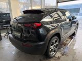 Mazda MX-30 bei Gebrauchtwagen.expert - Abbildung (4 / 15)