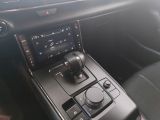 Mazda MX-30 bei Gebrauchtwagen.expert - Abbildung (13 / 15)