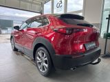 Mazda CX-30 bei Gebrauchtwagen.expert - Abbildung (3 / 15)