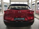 Mazda CX-30 bei Gebrauchtwagen.expert - Abbildung (3 / 15)