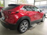 Mazda CX-30 bei Gebrauchtwagen.expert - Abbildung (4 / 15)