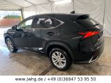 Lexus NX bei Gebrauchtwagen.expert - Abbildung (5 / 15)
