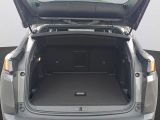 Peugeot 3008 bei Gebrauchtwagen.expert - Abbildung (8 / 14)