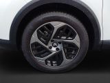 Citroen C4 bei Gebrauchtwagen.expert - Abbildung (7 / 12)