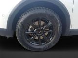 Citroen C4 bei Gebrauchtwagen.expert - Abbildung (9 / 14) Citroen C4 bei Gebrauchtwagen.expert - Abbildung (9 / 14)