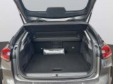 Citroen C4 bei Gebrauchtwagen.expert - Abbildung (8 / 14)