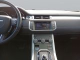 Land Rover Range Rover Evoque bei Gebrauchtwagen.expert - Abbildung (13 / 14)