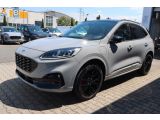 Ford Kuga bei Gebrauchtwagen.expert - Abbildung (5 / 15)