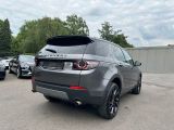 Land Rover Discovery Sport bei Gebrauchtwagen.expert - Abbildung (6 / 15)