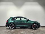 Audi SQ5 bei Gebrauchtwagen.expert - Abbildung (7 / 10)