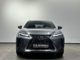 Lexus UX bei Gebrauchtwagen.expert - Abbildung (3 / 10)