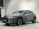 Lexus UX bei Gebrauchtwagen.expert - Abbildung (2 / 10)