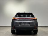 Lexus UX bei Gebrauchtwagen.expert - Abbildung (8 / 10)