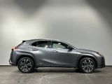 Lexus UX bei Gebrauchtwagen.expert - Abbildung (6 / 10)