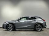 Lexus UX bei Gebrauchtwagen.expert - Abbildung (10 / 10)