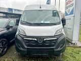 Opel Movano bei Gebrauchtwagen.expert - Abbildung (6 / 15)
