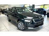 Skoda Kamiq bei Gebrauchtwagen.expert - Abbildung (7 / 7)