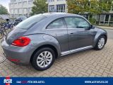 VW Beetle bei Gebrauchtwagen.expert - Abbildung (6 / 15)