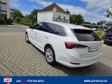 Skoda Octavia bei Gebrauchtwagen.expert - Abbildung (4 / 15)