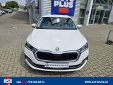 Skoda Octavia bei Gebrauchtwagen.expert - Abbildung (10 / 15)