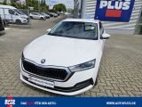 Skoda Octavia bei Gebrauchtwagen.expert - Abbildung (11 / 15)