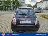 Fiat 500 bei Gebrauchtwagen.expert - Abbildung (6 / 15)