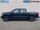 Ford F bei Gebrauchtwagen.expert - Abbildung (3 / 15)