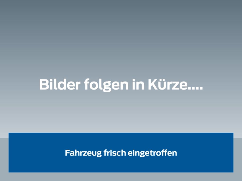 Ford Puma bei Gebrauchtwagen.expert - Hauptabbildung