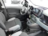 Fiat Panda bei Gebrauchtwagen.expert - Abbildung (3 / 12)