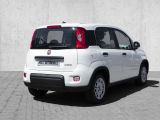 Fiat Panda bei Gebrauchtwagen.expert - Abbildung (2 / 14)