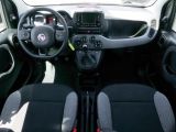 Fiat Panda bei Gebrauchtwagen.expert - Abbildung (6 / 14)