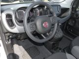 Fiat Panda bei Gebrauchtwagen.expert - Abbildung (5 / 14)