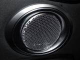 Alfa Romeo Tonale bei Gebrauchtwagen.expert - Abbildung (14 / 15)