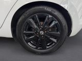 Nissan Micra bei Gebrauchtwagen.expert - Abbildung (15 / 15)